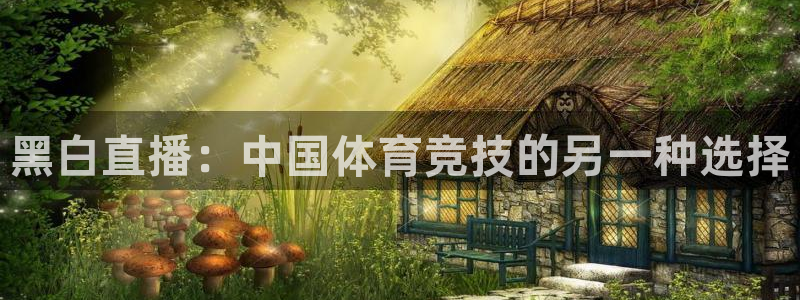 919体育直播安卓版