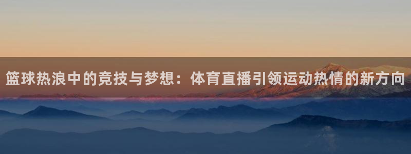 919体育nba直播安卓版