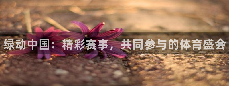919直播看球在线观看
