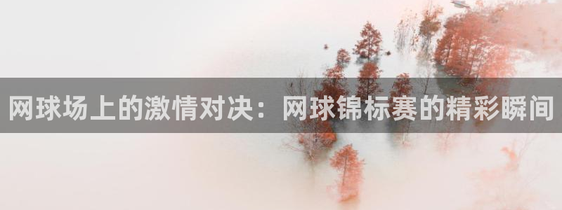 919看球软件