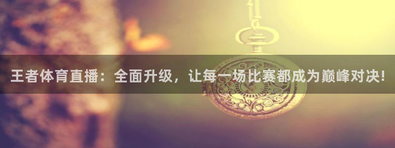 919看球直播官网入口