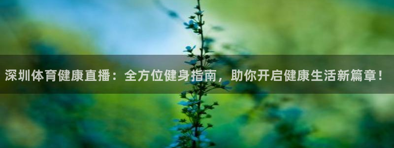 体育直播919
