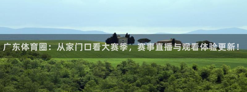 919体育直播间在线看
