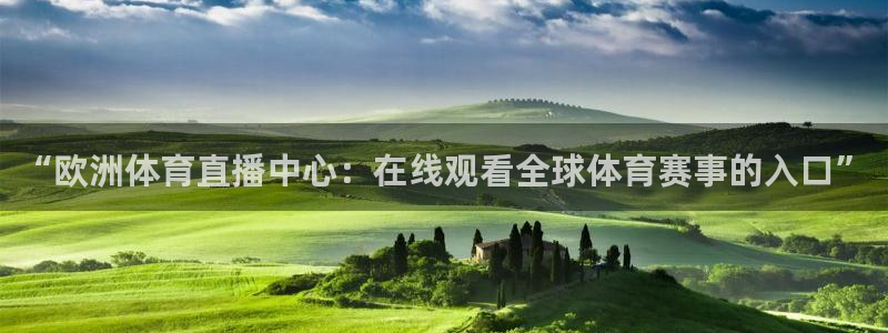 919看球直播官网入口