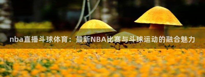 919体育直播安卓版：nba直播斗球体育：最新NBA比赛与斗球运动的融合魅力