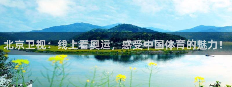 919nba直播：北京卫视：线上看奥运，感受中国体育的魅力！
