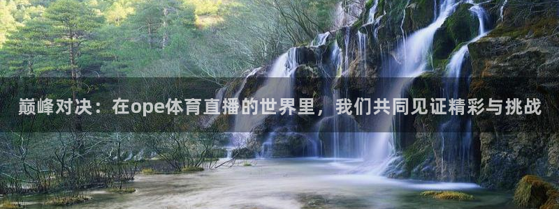 919体育直播间在线看：巅峰对决：在ope体育直播的世界里，我们共同见证精彩与挑战
