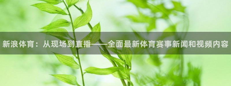 919体育直播：新浪体育：从现场到直播——全面最新体育赛事新闻和视频内容