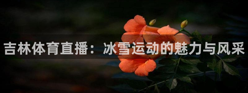 919nba直播看球观看
