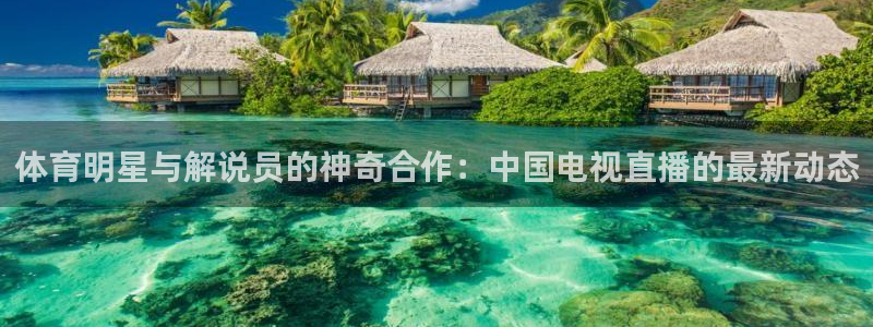 919直播体育：体育明星与解说员的神奇合作：中国电视直播的最新动态