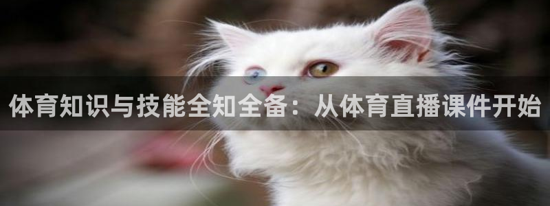 919nba直播：体育知识与技能全知全备：从体育直播课件开始